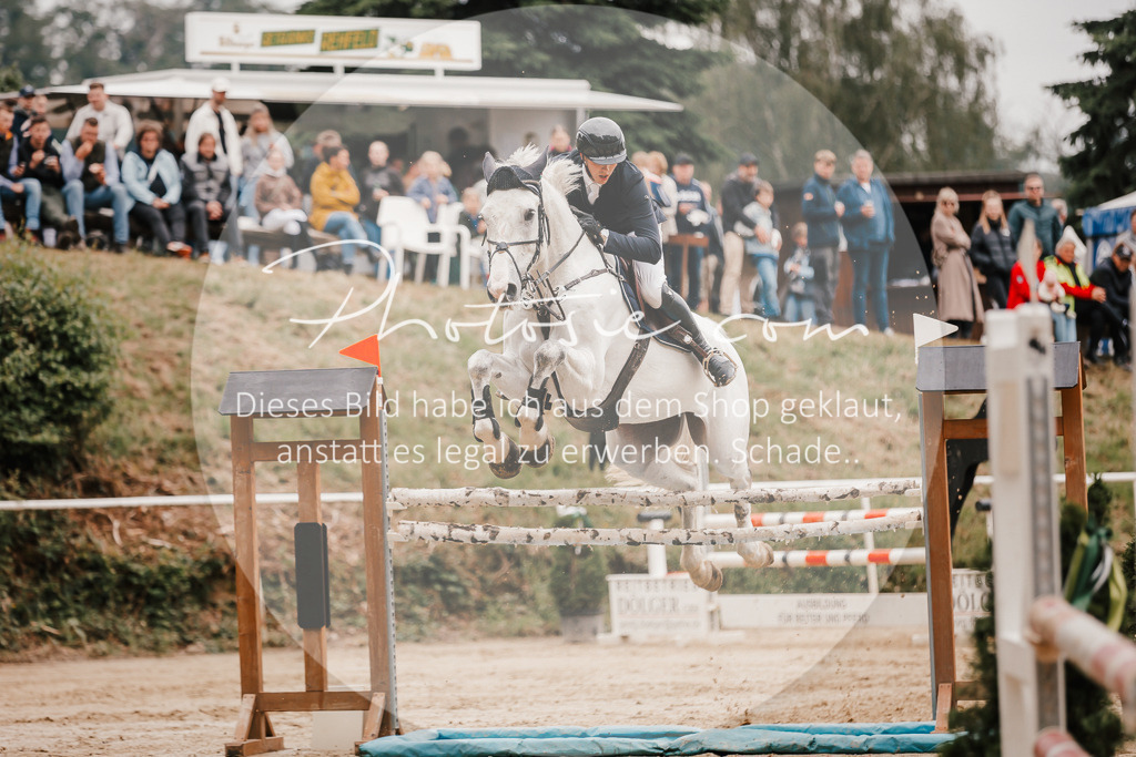 3I6A2123 | Stimmungsvolle Portraits und Reitsportfotografie im Ruhrgebiet und im Münsterland.

Pferdefotografie, Hundefotografie, Tierfotografie, Reportagen, Portraits von Tier und Mensch, Turnierfotografie in Bochum, Recklinghausen, Marl, Haltern am See, Dülmen.. - Realisiert mit Pictrs.com