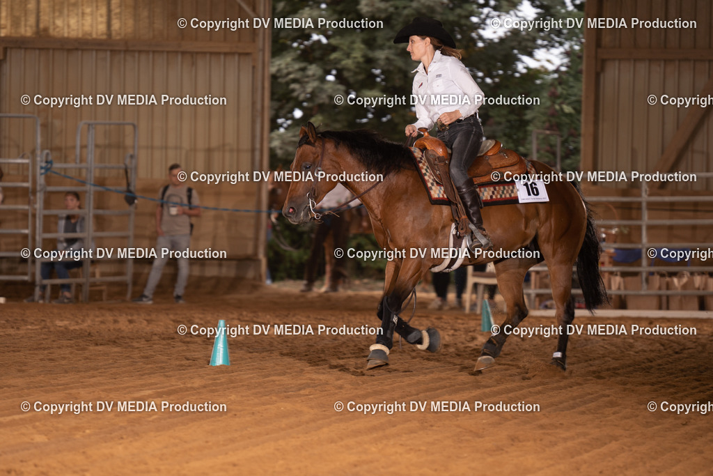 NID01199 | dv-media-shop - Realisiert mit Pictrs.com