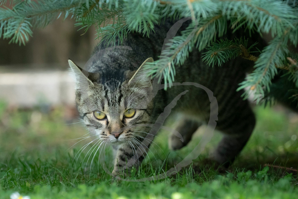 _DSC9878 | sebastiandoebroessy - Realisiert mit Pictrs.com