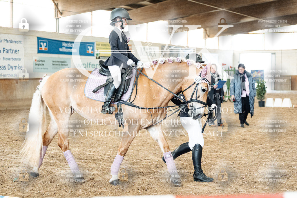 CK905742 | Turnierfotografie Pferdefotografie Trier Rheinland-Pfalz Pferdesport Reitsport Tierfotografie Sportfotografie Pferdevideo Pferdevideografie Equestrianvideography equestrianphotography  - Realisiert mit Pictrs.com