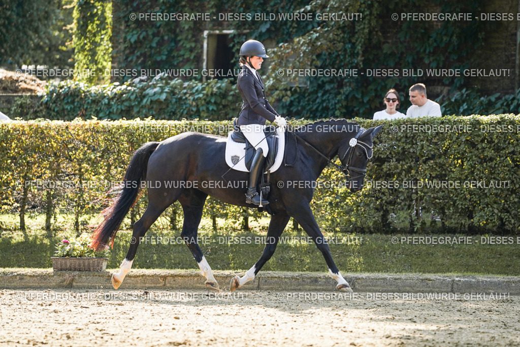 DSC06646 | Pferdegrafie