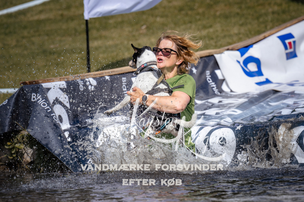 _ZZ924960927 | kk-dogfotos