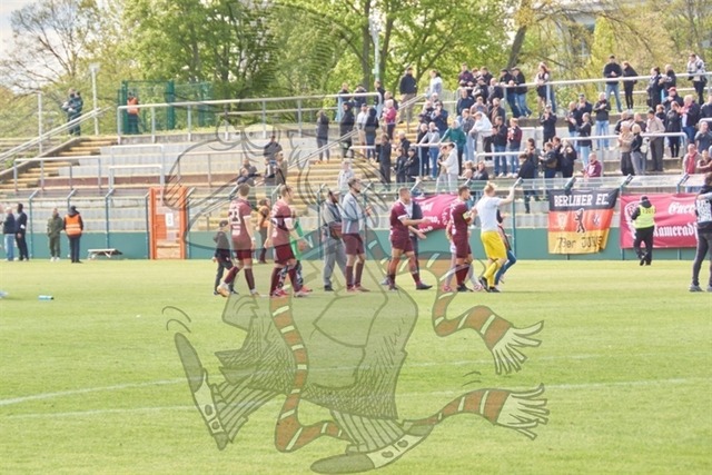 BFC Dynamo vs. BSG Chemie Leipzig  111 | mythos-online-redaktion