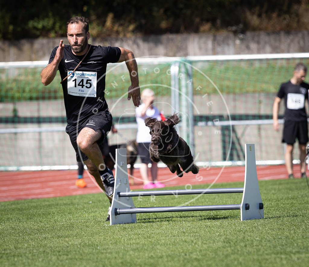 Pfotenfotografie_DV3A9200 | Hundefotografie, Tierfotograf, Pfotenfotografie, Fotoshooting Hund, Hunde Portrait, Hundesport, Hundeportraits, Heideshooting, Hunde, Sportfotograf, Hundefotograf, Turnierhundsport, THS,  - Realisiert mit Pictrs.com