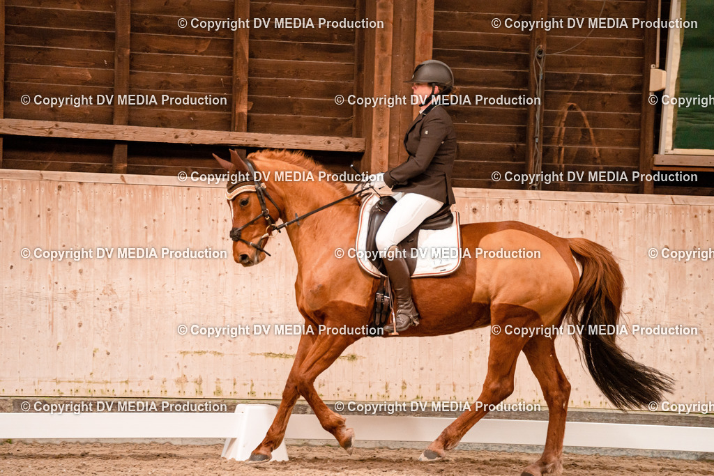 Dressur Tag 2-02 | dv-media-shop - Realisiert mit Pictrs.com