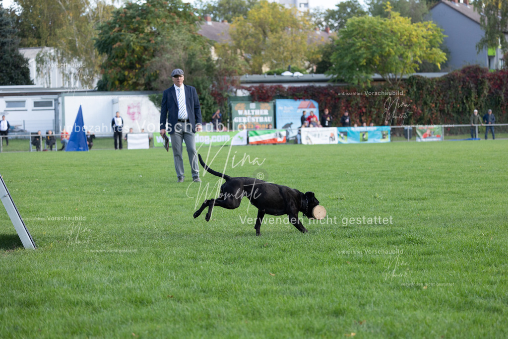 _16A5599 | Einzigartige Fotos von Hunden & Menschen –Actionfotos, Portraits, Vereinsaufnahmen & Paarshootings – authentisch, lebendig & mit Herz.
