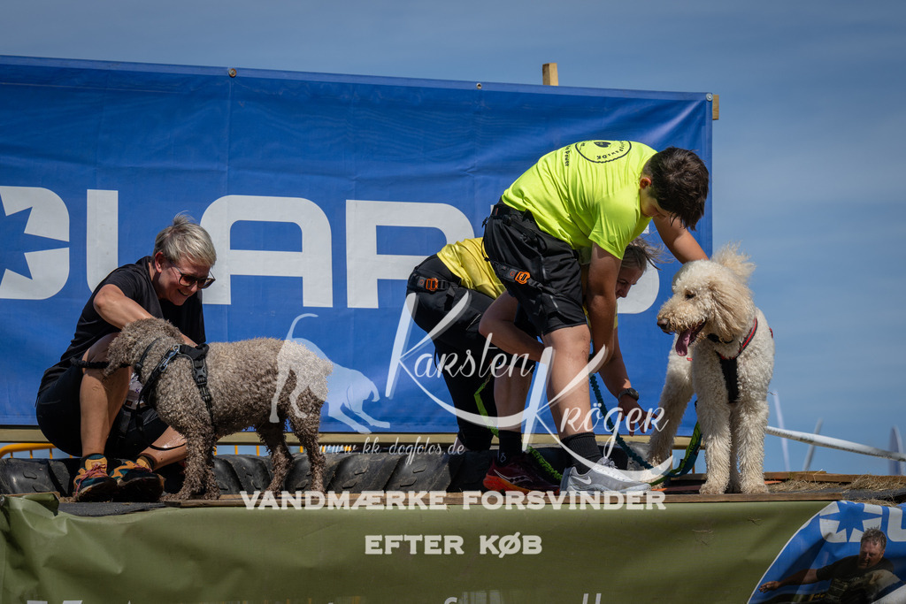 1356_ZZ99663 | kk-dogfotos