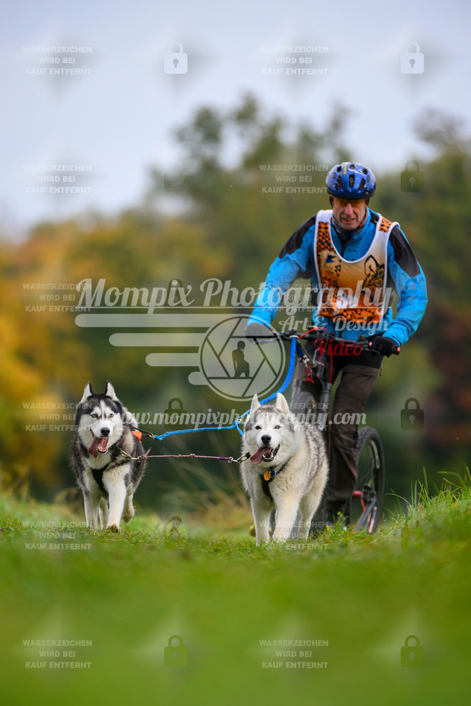 MompixPhotography_CDLBDB2025_DI_DS-31 | PayLife