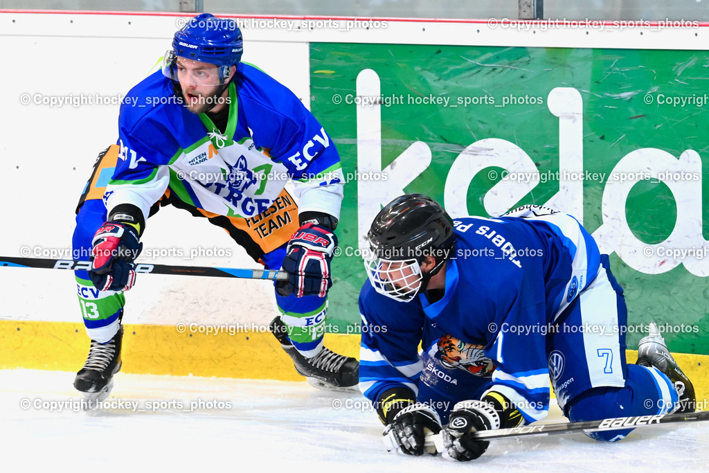  EC Tigers Paternion vs. EC Virgen 8.1.2022 | #13 Gasser Roman, #7 Kreuger Matthias