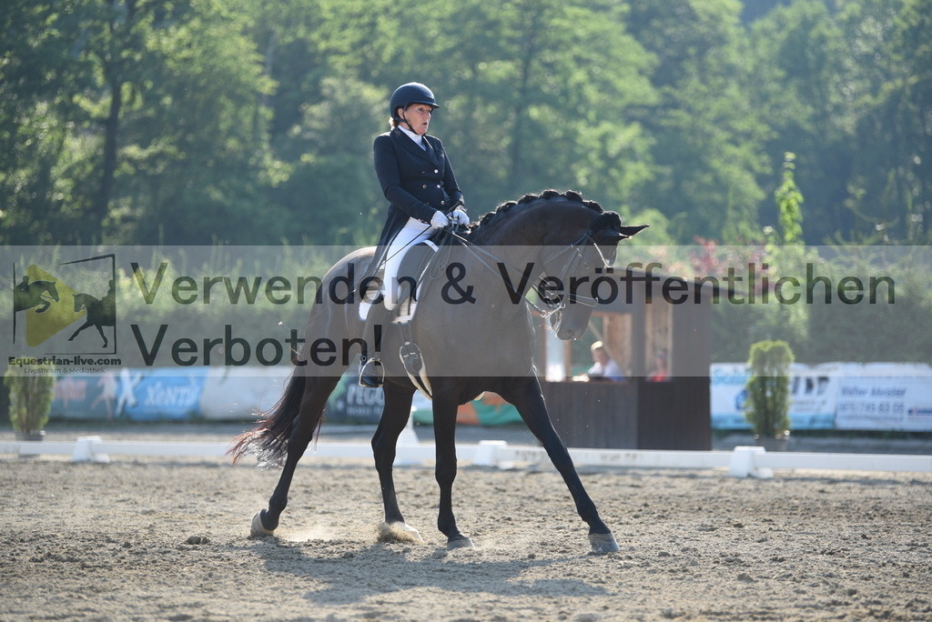 DSC_3334 | equestrian-live-com