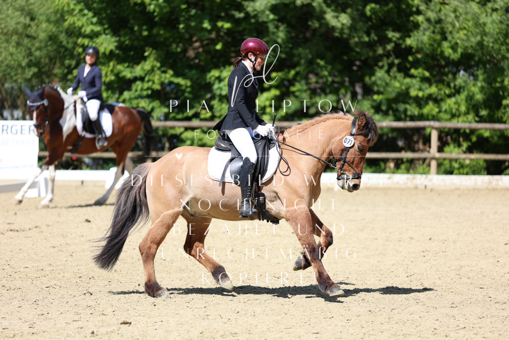 IMGS3871 | pl-fotografie