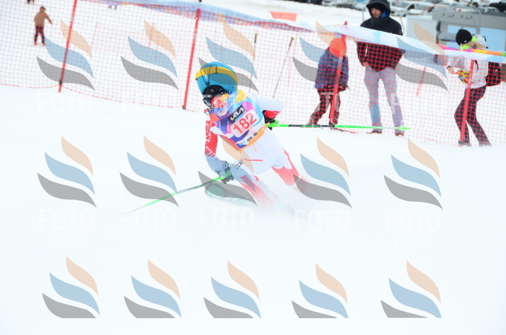 DSC_1698 | holidayphoto