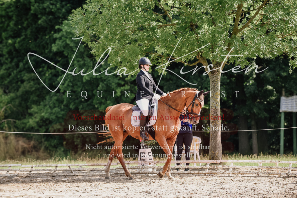 DSC_0292 | Pferde- und Turnierfotografie in Westsachsen. Pferdeportraits, Auftragszeichnungen und intuitive Kunst.