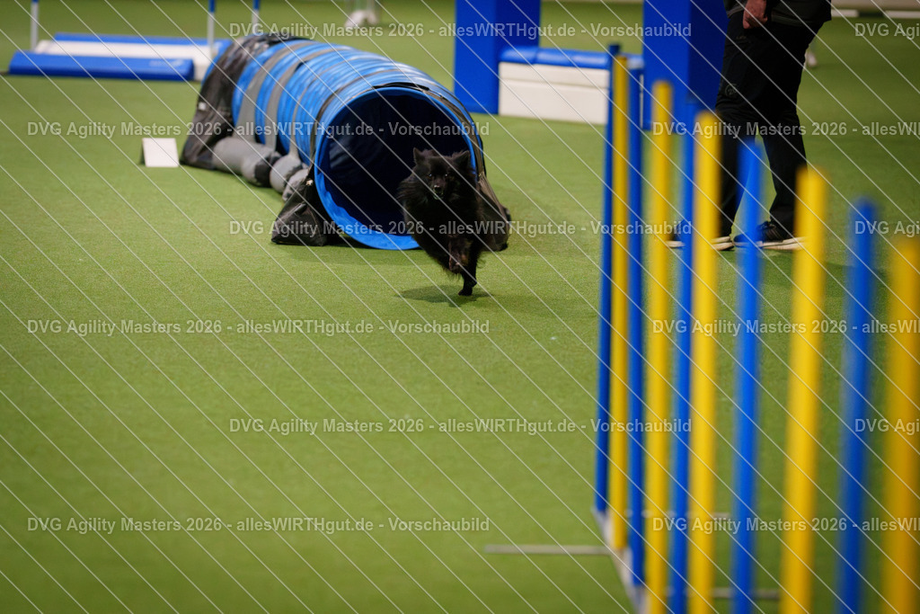 allesWIRTHgut_Tierfotografie-DVG_Agility_Masters_2026-07_18-7R507109 | Professionelle Tierfotografie in Mönchengladbach von Daniel Wirth (allesWIRTHgut). Liebevolle & natürliche Bilder von Hunden & Katzen für unvergessliche Erinnerungen.