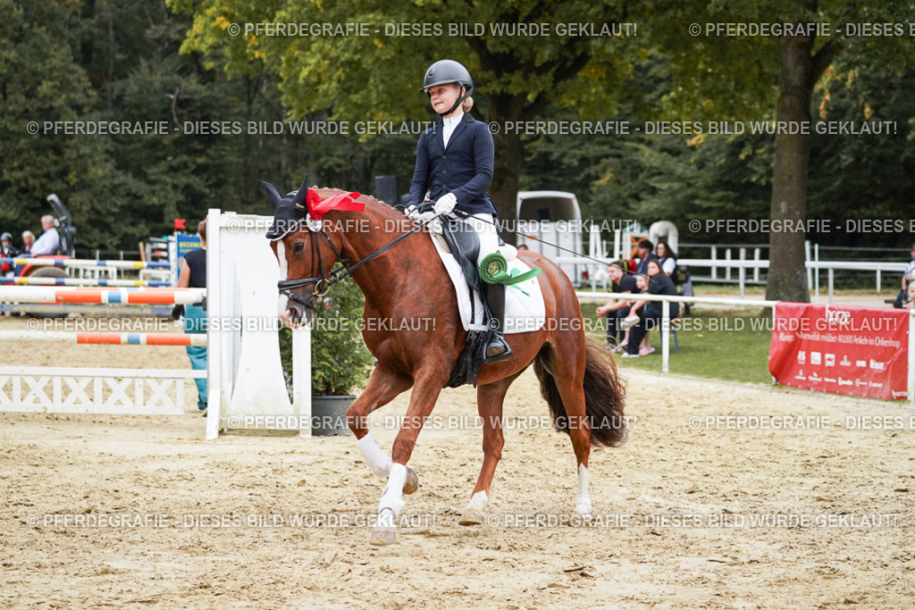 DSC06178 | Pferdegrafie