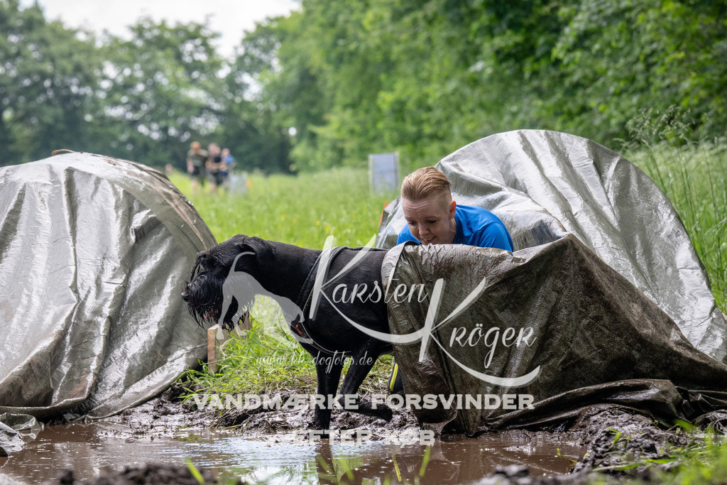1113_ZZ91849 | kk-dogfotos