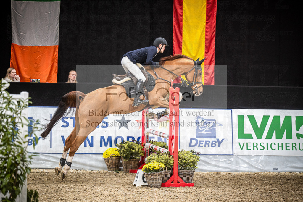 DOS_2141 | Entdecke hochwertige Reitturnierfotos von Foto Oger. Professionell, emotional und authentisch – jetzt Lieblingsmomente im Shop bestellen.Deutschlandweite Turnierfotografie. - Realisiert mit Pictrs.com