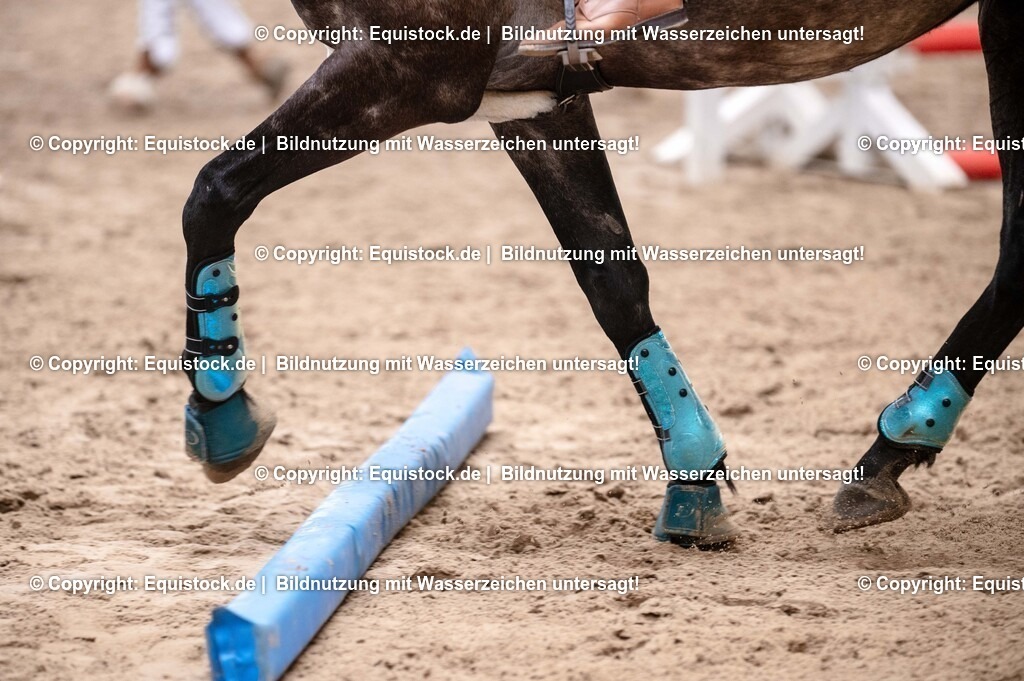 20250725_Vielseitigkeitslehrgang-Marbach_0196 | Foto: Thomas Hartig