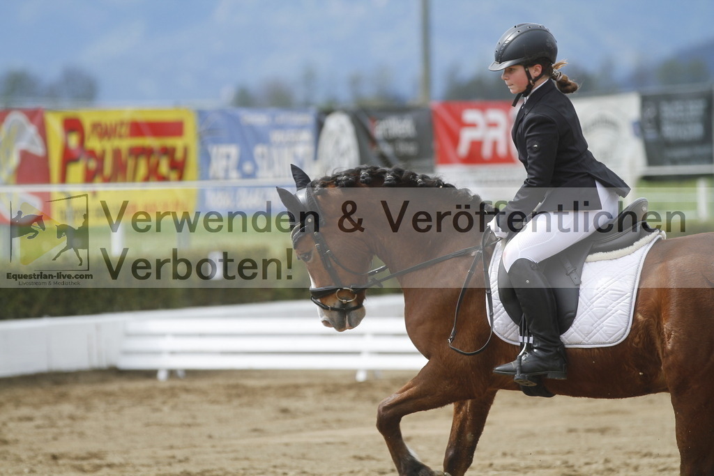 _MG_2863 | equestrian-live-com