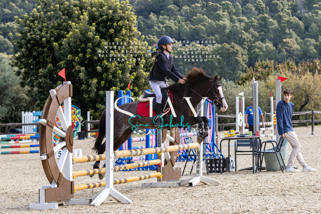 IMG_5667 | s-jay-photography - Realisiert mit Pictrs.com