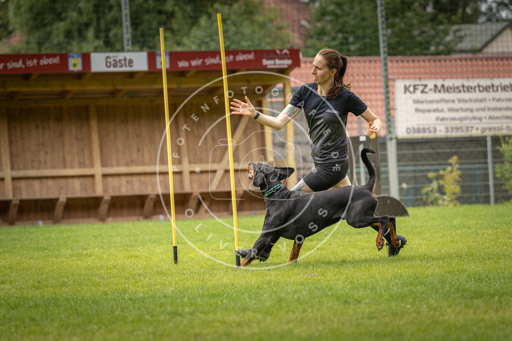 Pfotenfotografie_DV3A0634 | Hundefotografie, Tierfotograf, Pfotenfotografie, Fotoshooting Hund, Hunde Portrait, Hundesport, Hundeportraits, Heideshooting, Hunde, Sportfotograf, Hundefotograf, Turnierhundsport, THS,  - Realisiert mit Pictrs.com
