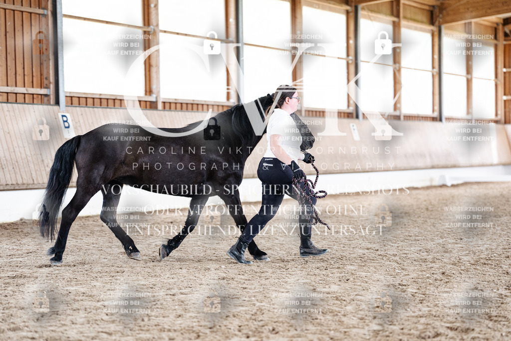 CK907949 | Turnierfotografie Pferdefotografie Trier Rheinland-Pfalz Pferdesport Reitsport Tierfotografie Sportfotografie Pferdevideo Pferdevideografie Equestrianvideography equestrianphotography  - Realisiert mit Pictrs.com