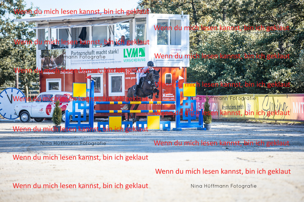 BK1A5950 | Turnierbilder Turnierfotos Nina Hüffmann Turnierfotografie Pferdefotografie Tierzeichnung Haustierzeichnung Pferdezeichnung Hundezeichnung Videograf  - Realisiert mit Pictrs.com