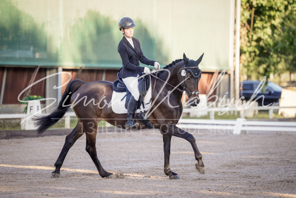 20250906-_3LI2594 | Tierfotografie Pferde, Hunde, Katzen, Haustiere.
Turnierfotografie Reitturniere, Reiten, Springreiten, Dressur in Hanau, dem Main-Kinzig-Kreis und dem Rhein-Main- Gebiet um Frankfurt