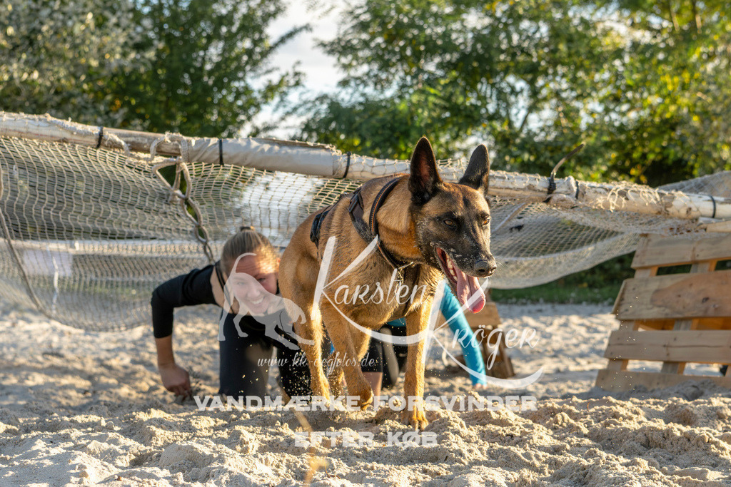 1653_ZZ90206 | kk-dogfotos