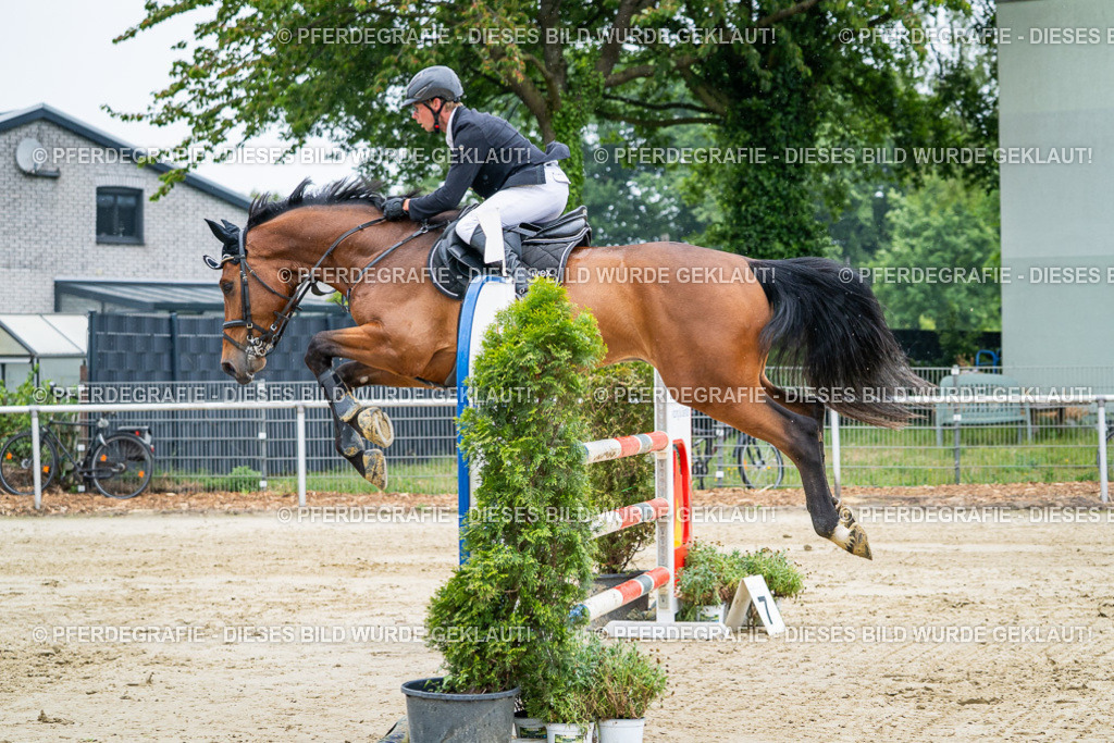 DSC01788 | Pferdegrafie