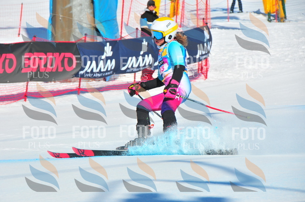 DSC_3787 | holidayphoto