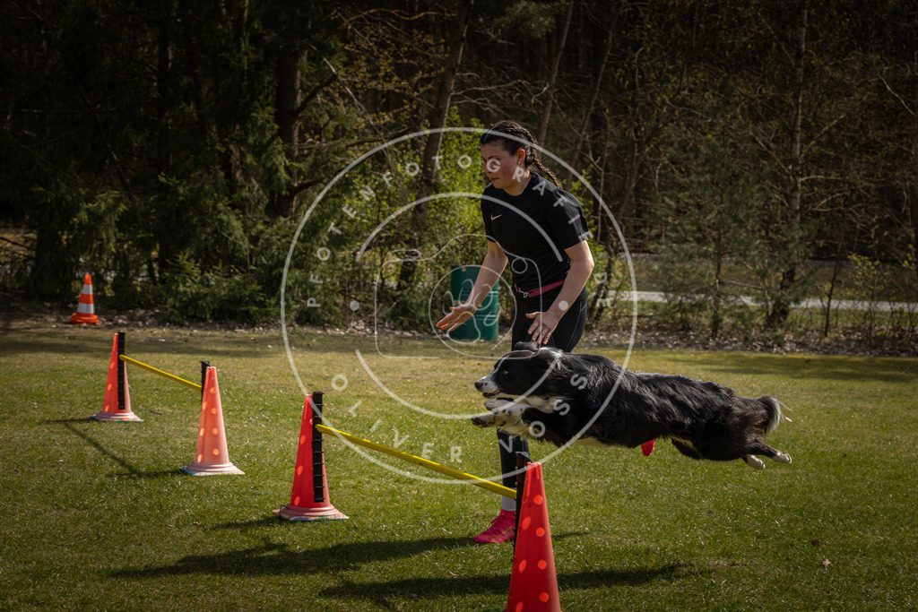 Pfotenfotografie_DV3A4060 | Hundefotografie, Tierfotograf, Pfotenfotografie, Fotoshooting Hund, Hunde Portrait, Hundesport, Hundeportraits, Heideshooting, Hunde, Sportfotograf, Hundefotograf, Turnierhundsport, THS,  - Realisiert mit Pictrs.com