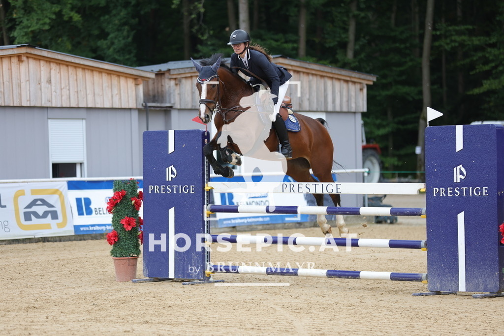 0P6A6225 | Willkommen bei Brunnmayr - Design & Fotografie – Ihrem Spezialisten für Reitturniere und Pferdeveranstaltungen in Oberösterreich, Salzburg und Bayern! Seit über 17 Jahren sind wir leidenschaftlich dabei.