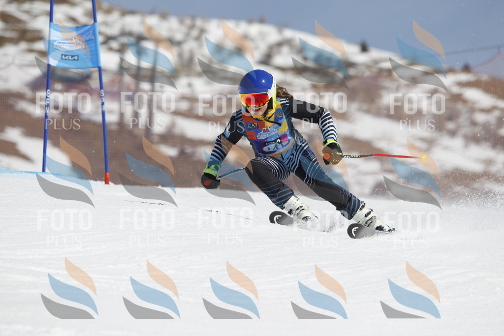 _U3G1162 | holidayphoto