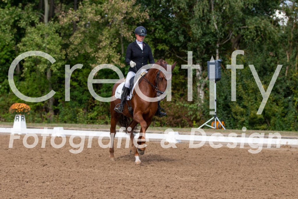 IMG_3741 | Creatify Fotografie