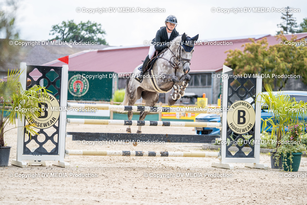 Hessische Tag 1-406 | dv-media-shop - Realisiert mit Pictrs.com