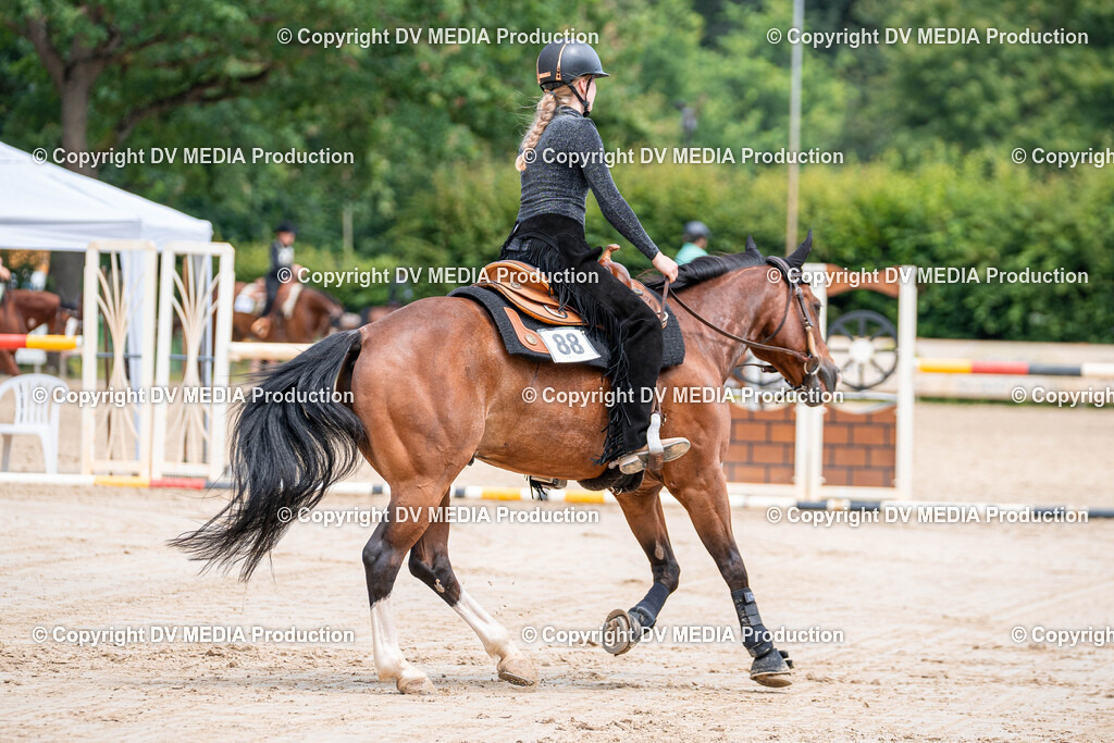 Zeiskam Tag 3-794 | dv-media-shop - Realisiert mit Pictrs.com