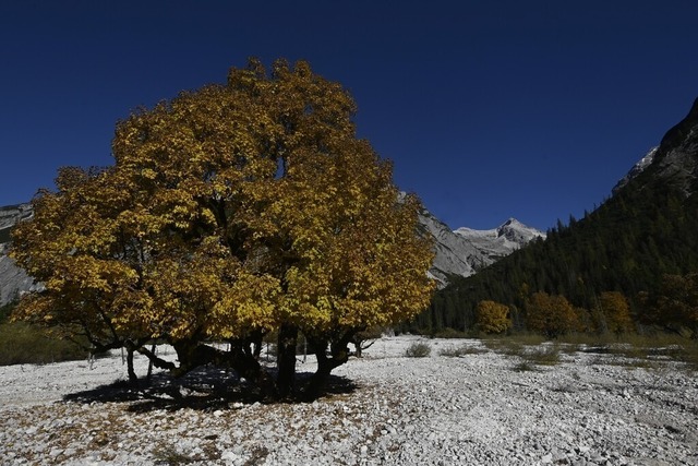 Isarursprung 2025-01 | Landschaftsfotografie Berge Mountain Landscape FotografieNatur Bilder Buidl Bergbuidl Bayern Heimat BergfotografieSonnenaufgang Sonnenuntergang Hobbyfotograf Bilderverkauf Leinwand - Realisiert mit Pictrs.com