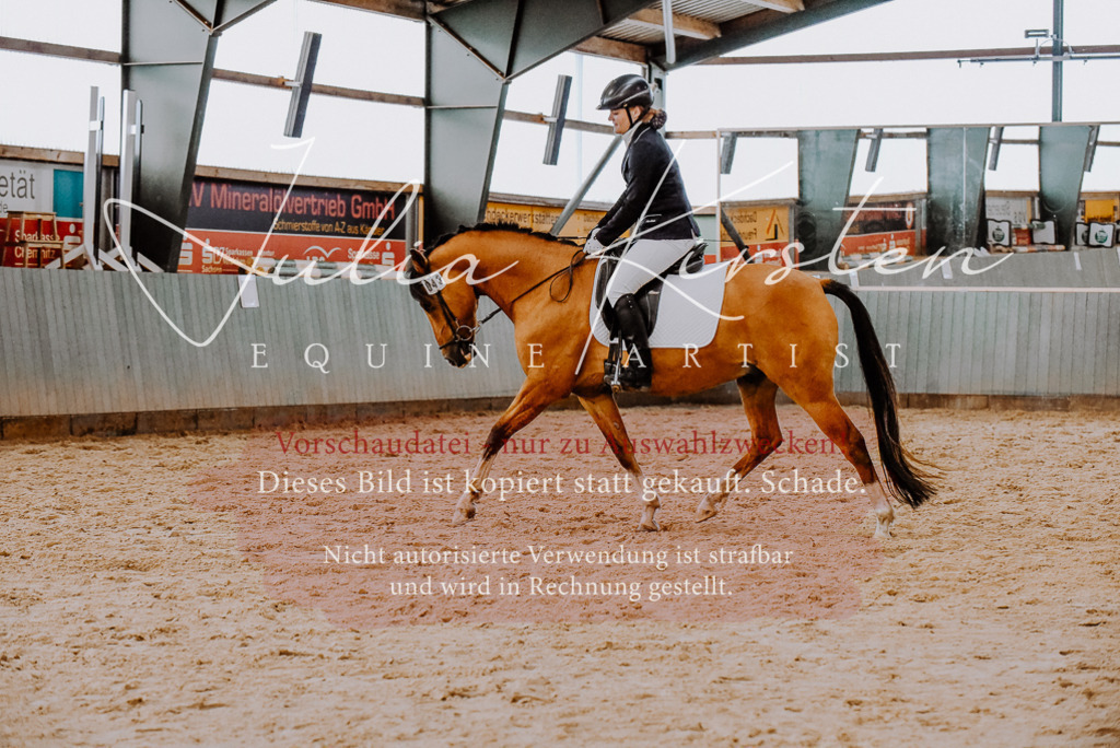 DSC_7615 | Pferde- und Turnierfotografie in Westsachsen. Pferdeportraits, Auftragszeichnungen und intuitive Kunst.