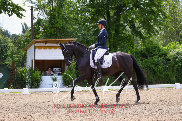DKP41050 | Turnierfotos kaufen im Webshop von Daniel Kuhl Photography – entdecke professionelle Reitsportfotos aus Turnieren & Events. Hochwertige Turnierbilder online bestellen & sichern. Jetzt Fotos von Reitsportturnieren kaufen!
