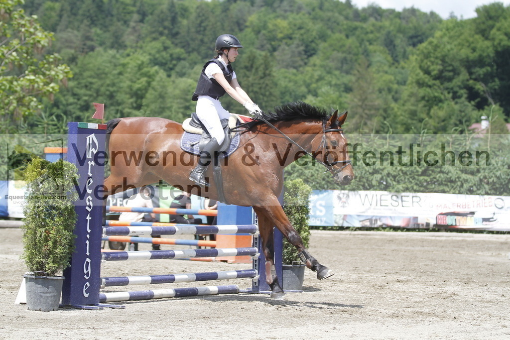 _MG_5406 | equestrian-live-com