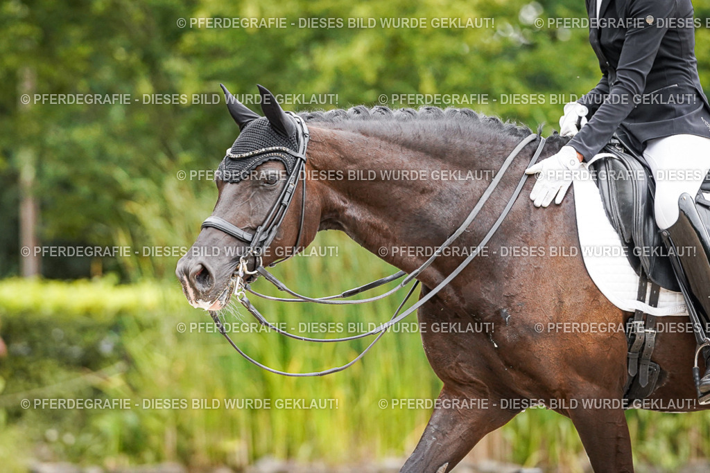 DSC07708 | Pferdegrafie