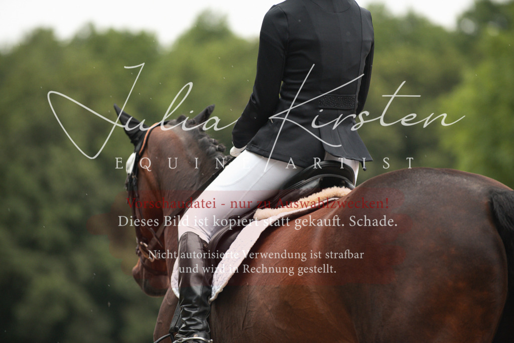 DSC_9613 | Pferde- und Turnierfotografie in Westsachsen. Pferdeportraits, Auftragszeichnungen und intuitive Kunst.