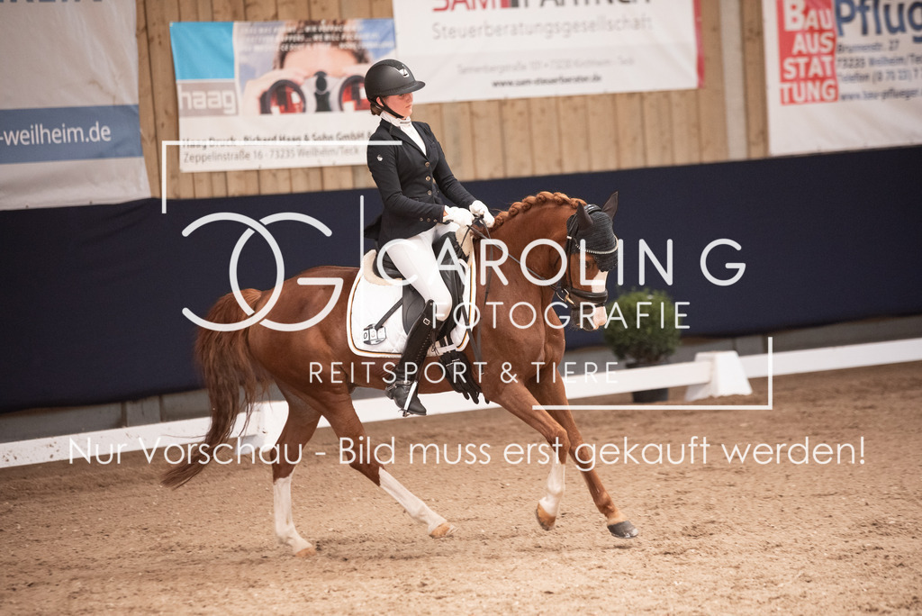 DSC_3442 | Carolin Gieschke