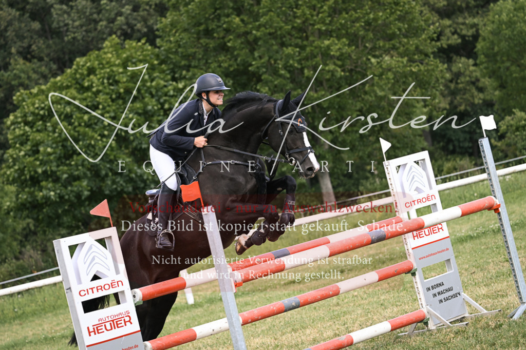 DSC_0817 | Pferde- und Turnierfotografie in Westsachsen. Pferdeportraits, Auftragszeichnungen und intuitive Kunst.