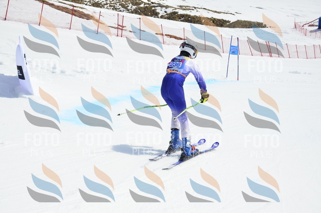 _ELE1697 | holidayphoto