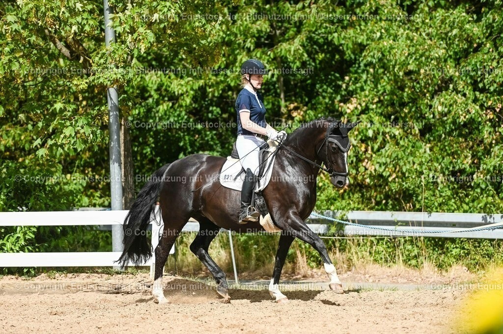 20230715_02_Dressurreiterprüfung Kl.L_0351 | equistock