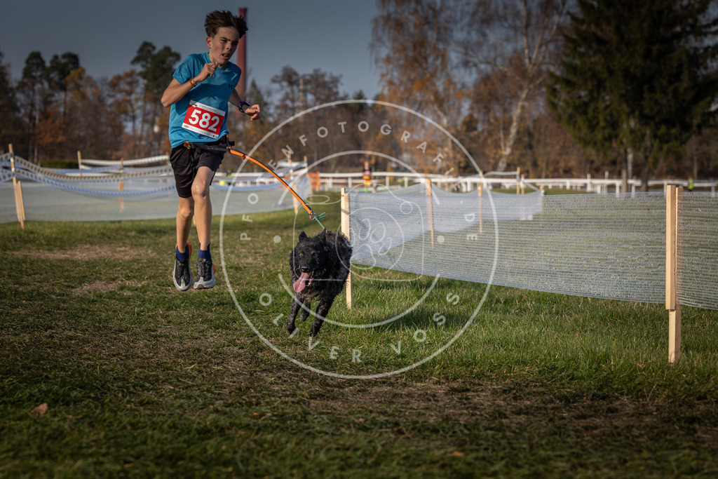 CaniXpix_0L8A9675 | Hundefotografie, Tierfotograf, Pfotenfotografie, Fotoshooting Hund, Hunde Portrait, Hundesport, Hundeportraits, Heideshooting, Hunde, Sportfotograf, Hundefotograf, Turnierhundsport, THS,  - Realisiert mit Pictrs.com