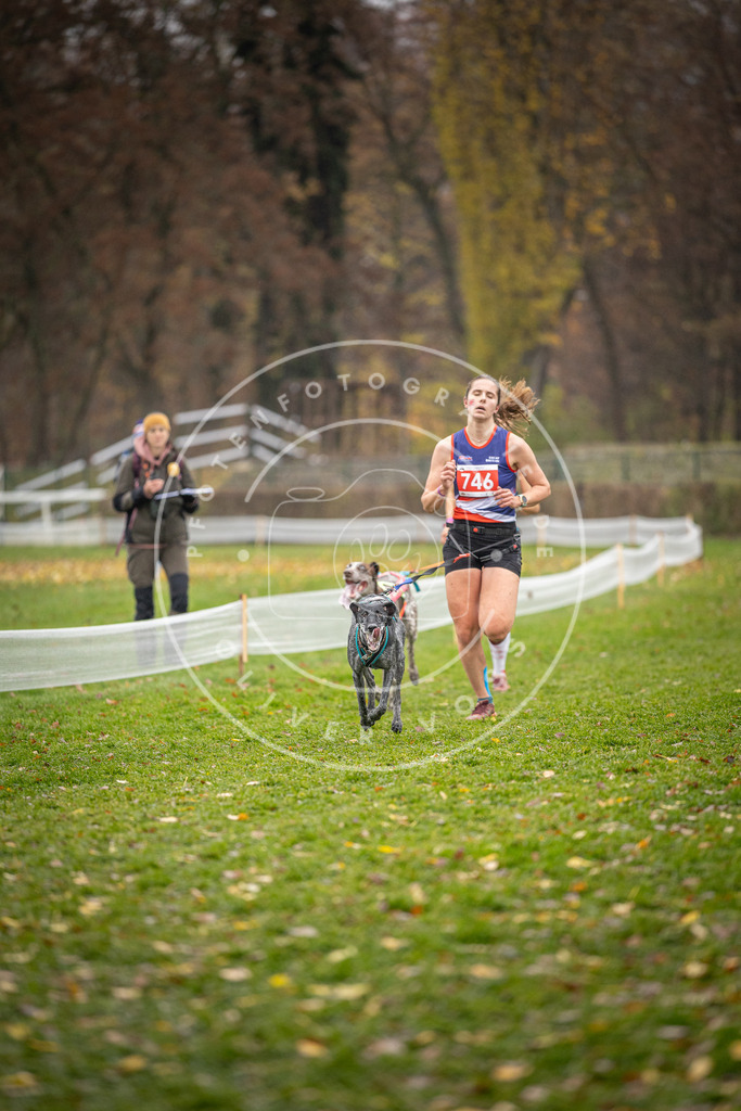 CaniXpix_DV3A9160 | Hundefotografie, Tierfotograf, Pfotenfotografie, Fotoshooting Hund, Hunde Portrait, Hundesport, Hundeportraits, Heideshooting, Hunde, Sportfotograf, Hundefotograf, Turnierhundsport, THS,  - Realisiert mit Pictrs.com