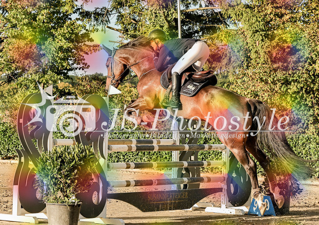 20250829_Springpferdeprfg Kl.L 115cm-80 | JS-Photostyle - Sport-/Portrait- & Eventfotografie